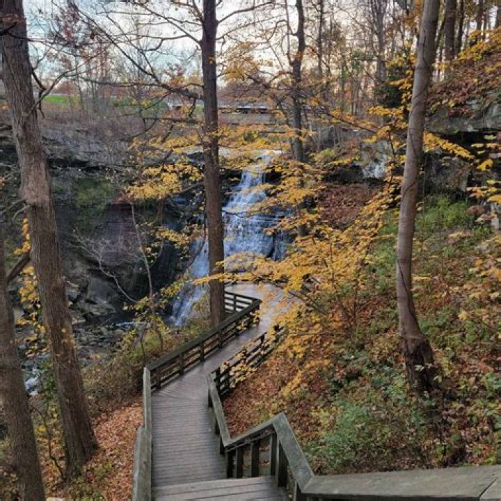 Dr. Onosetale Okojie, MD – Cuyahoga Falls, OH