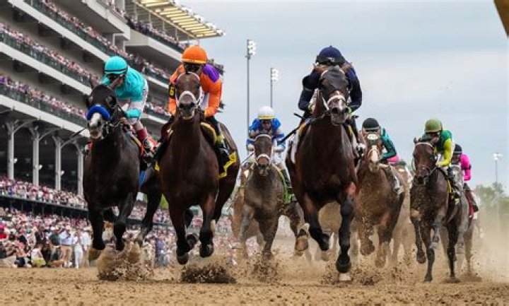 
Kentucky Derby 2023: Why horses Chloe’s Dream, Freezing Point were euthanized? 