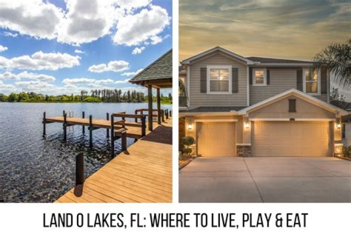 Lucinda Krueger – Land O Lakes, FL