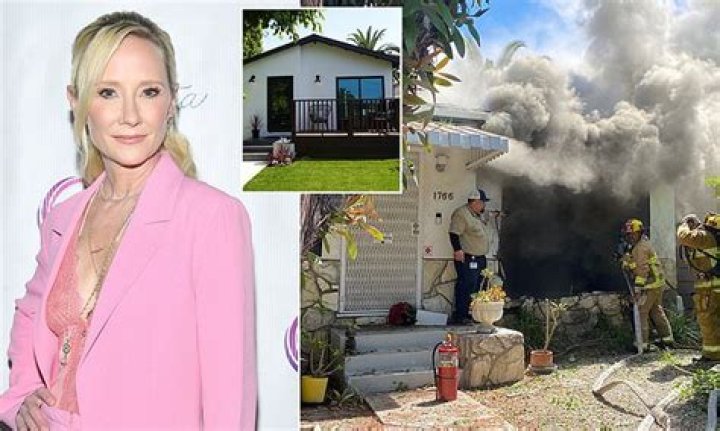 
Lynne Mishele GoFundMe Has Been Raised After Anne Heche Accident Destroyed Her Home 