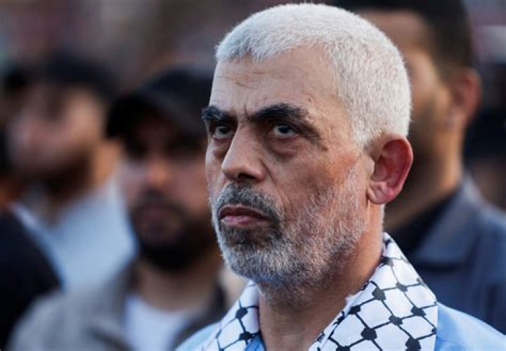 
Mohamed Diab Age, Birthday, Wikipedia, Who, Nationality, Biography 