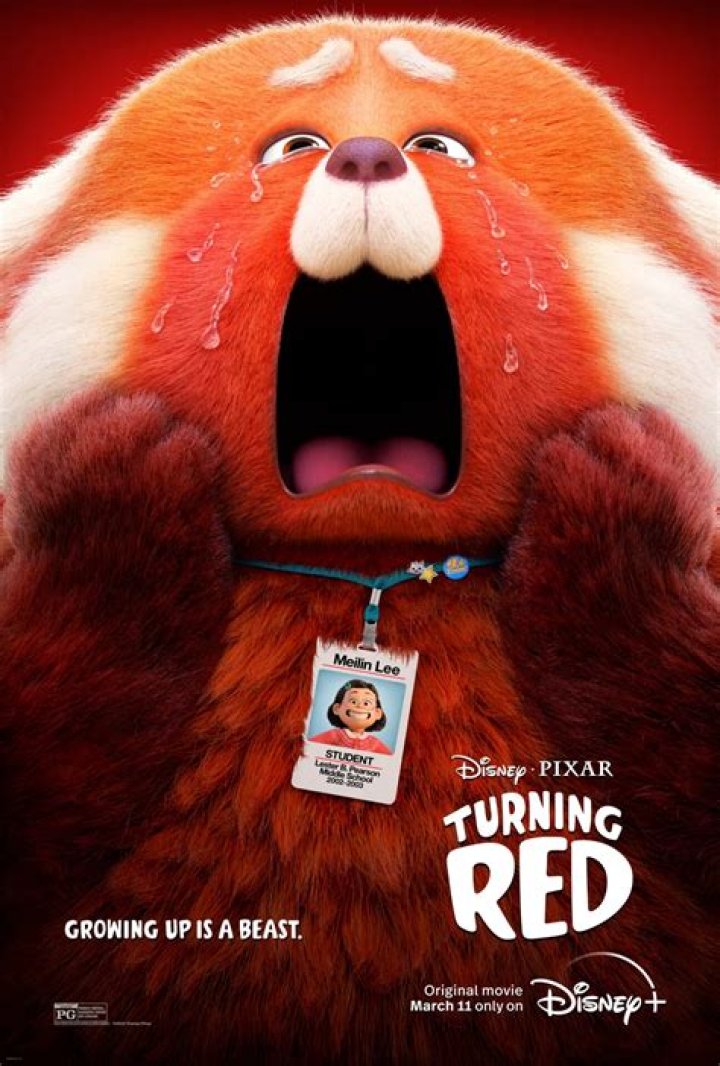 Who Is Mia Tagano From Turning Red? Here Is What We Know About The Aunt Lily Character On The Movie